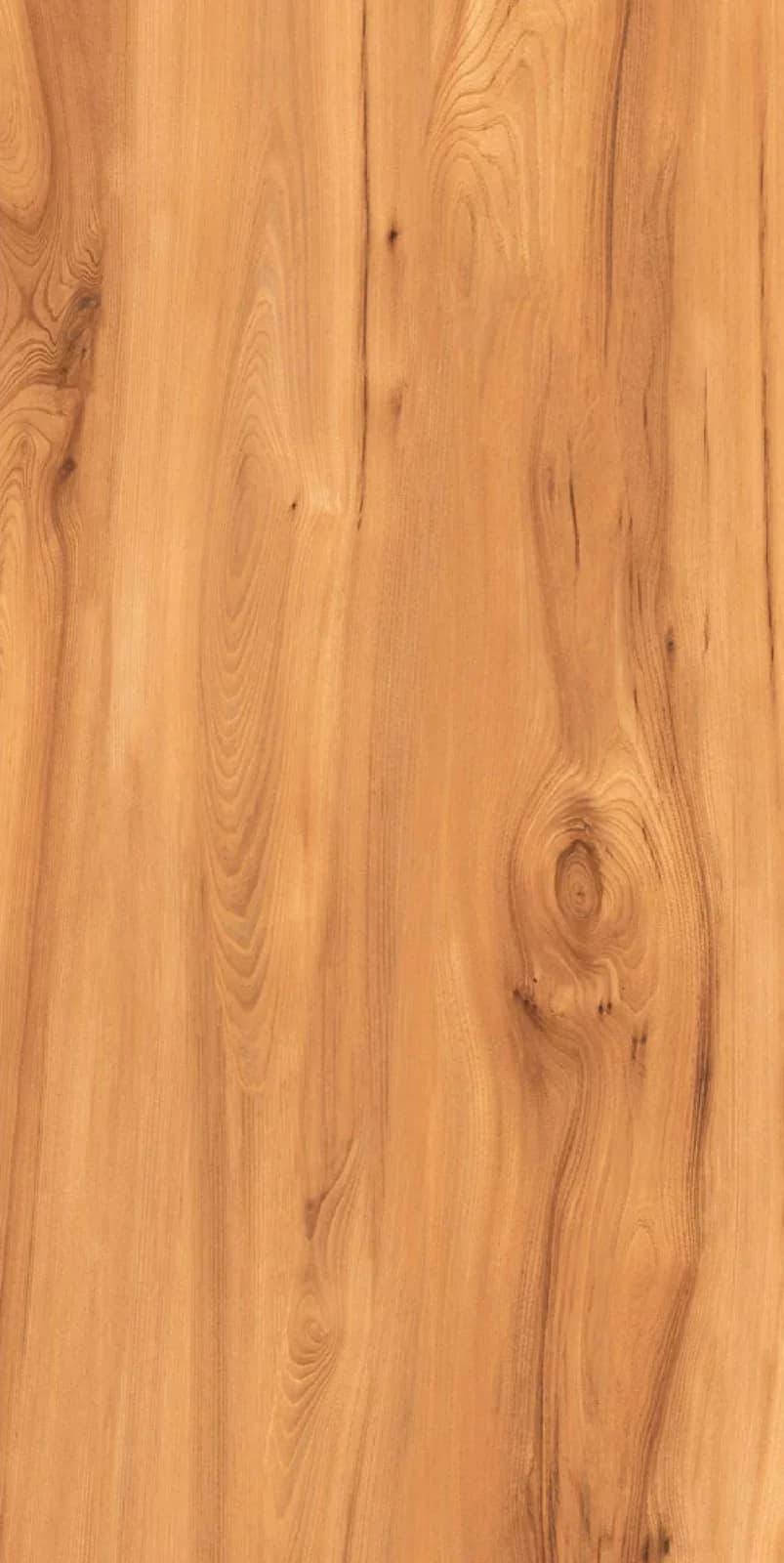 SG Pine Fusion — Segam · Lapato Sugar