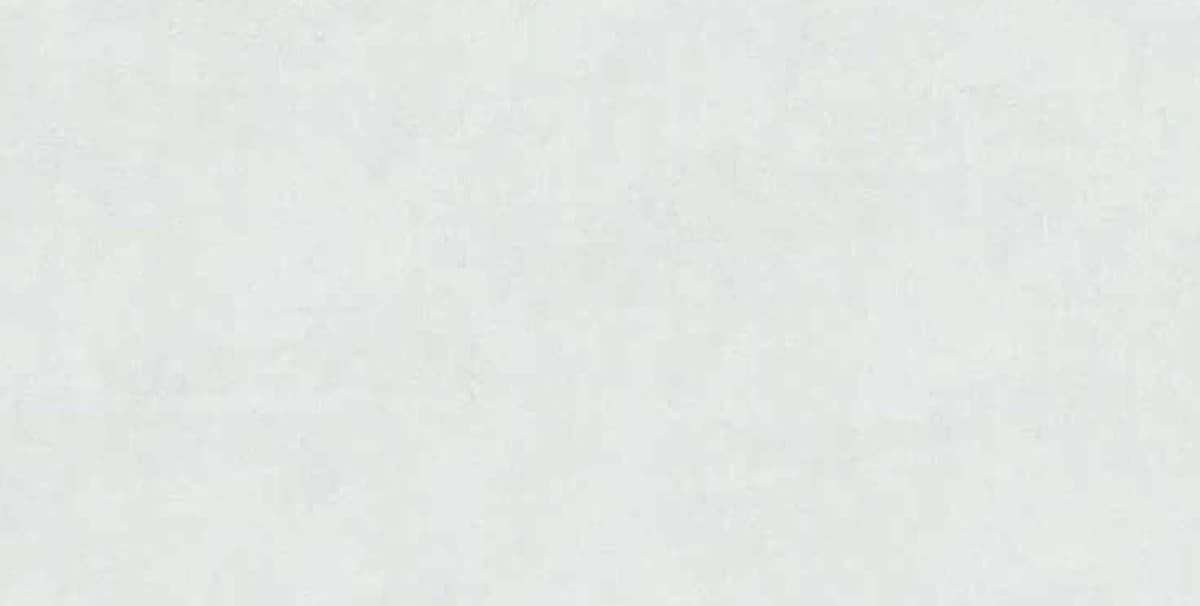 Borneo Ivory — 600 × 1200 mm matte glazed vitrified tile