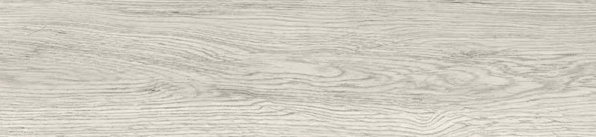 Maple Polar — 200 × 1200 mm matte - structured punch glazed vitrified tile