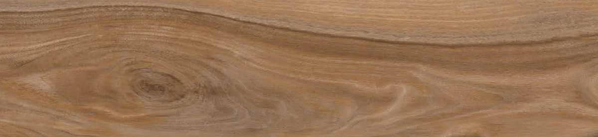 Cassia Golden Oak — 200 × 1200 mm matte - structured punch glazed vitrified tile