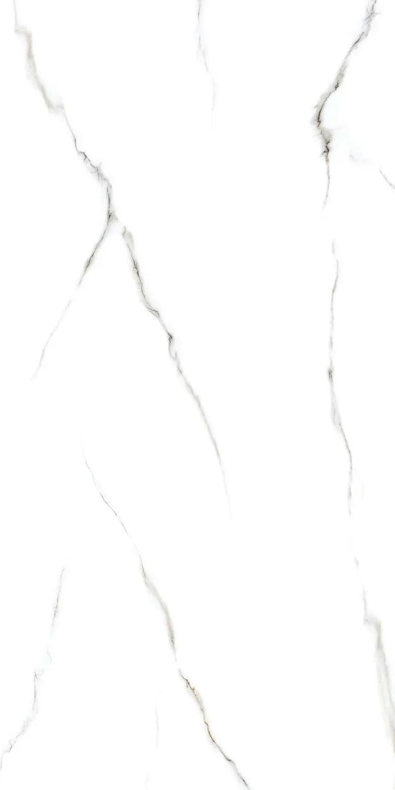 CRV Zurich White — 600 × 1200 mm carving vitrified tile