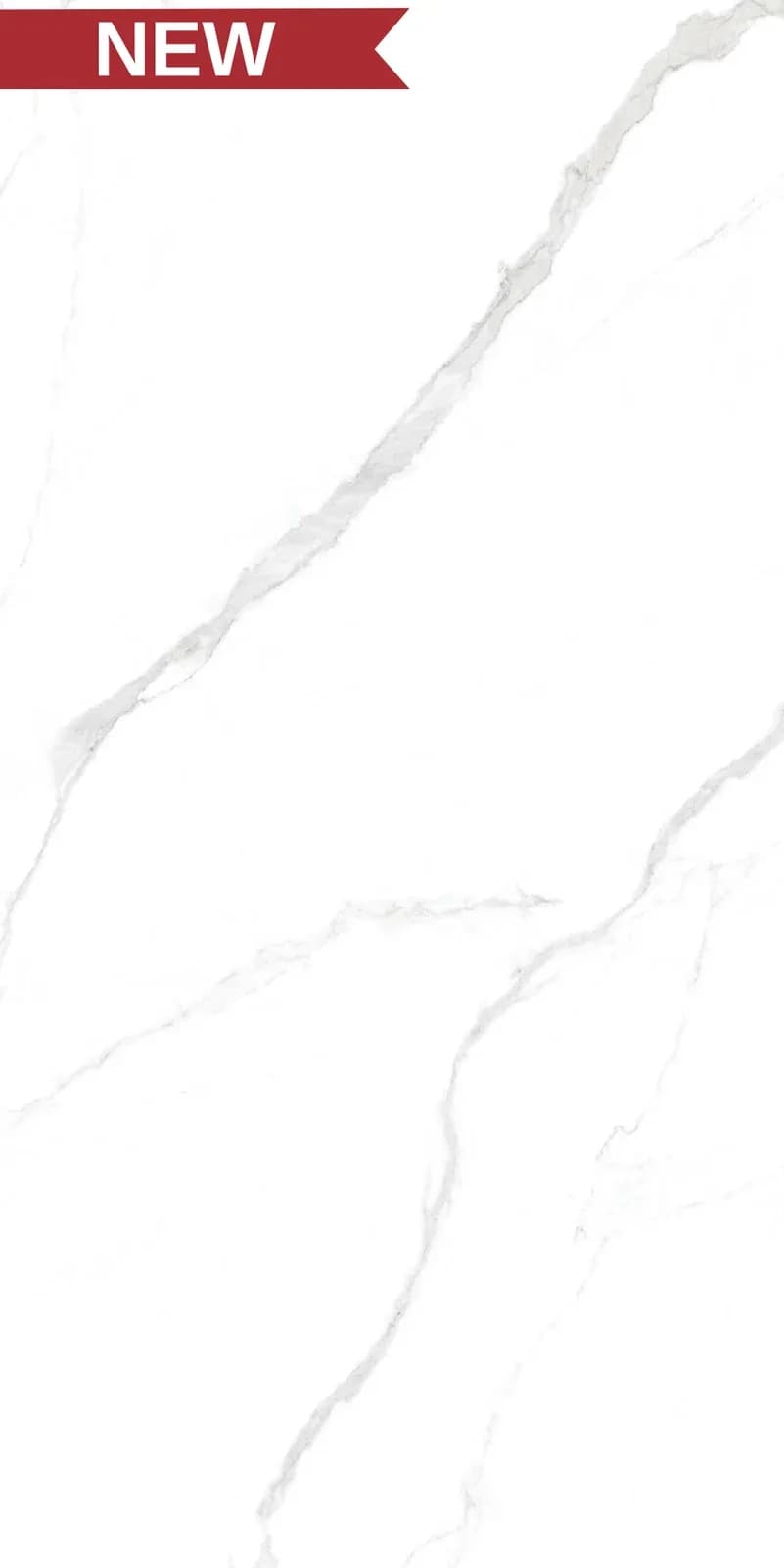 CRV Satvario Segam — 600 × 1200 mm carving vitrified tile