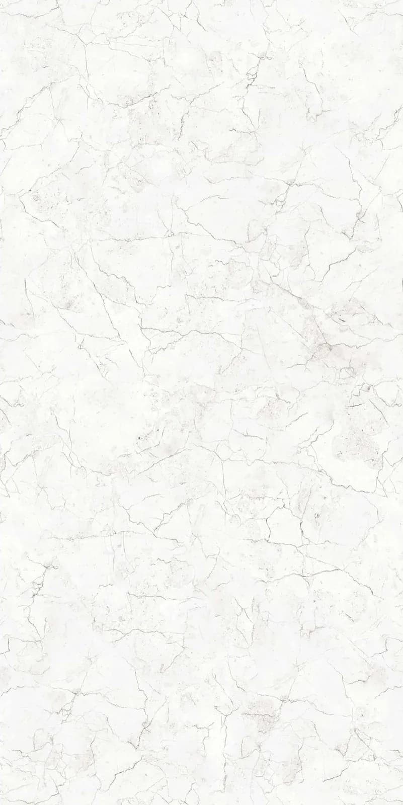 CRV Astonia Bianco — 600 × 1200 mm carving vitrified tile