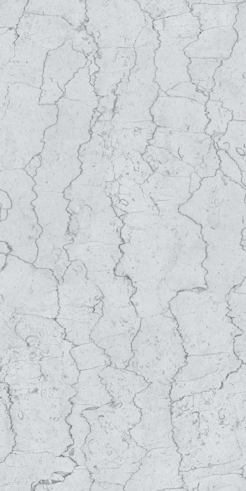 CRV Hemilton Grey — 600 × 1200 mm carving vitrified tile
