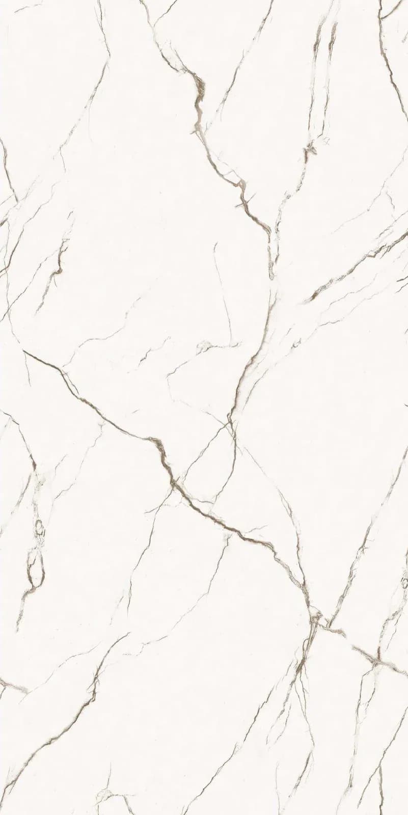 CRV Nexus White — 600 × 1200 mm carving vitrified tile