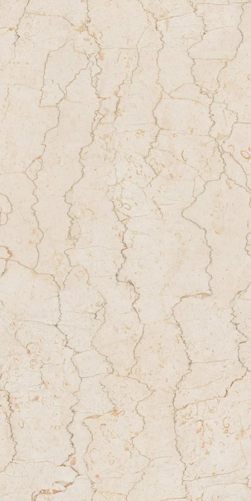 Hemilton Bronze — 600 × 1200 mm carving vitrified tile