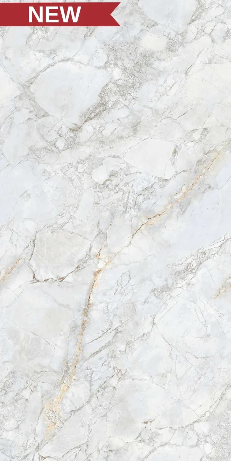 CRV Qudo Mist — 600 × 1200 mm carving vitrified tile