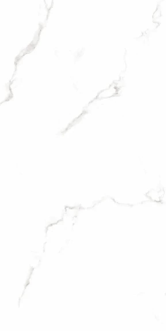 FT Epico Satvario — 600 × 1200 mm glossy glazed vitrified tile