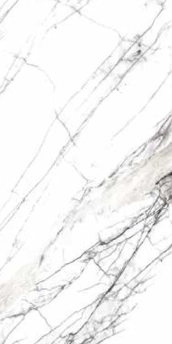 FT Avante White — 600 × 1200 mm glossy glazed vitrified tile