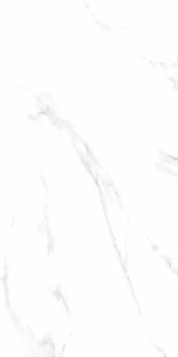 FT Satvario Classic — 600 × 1200 mm glossy glazed vitrified tile