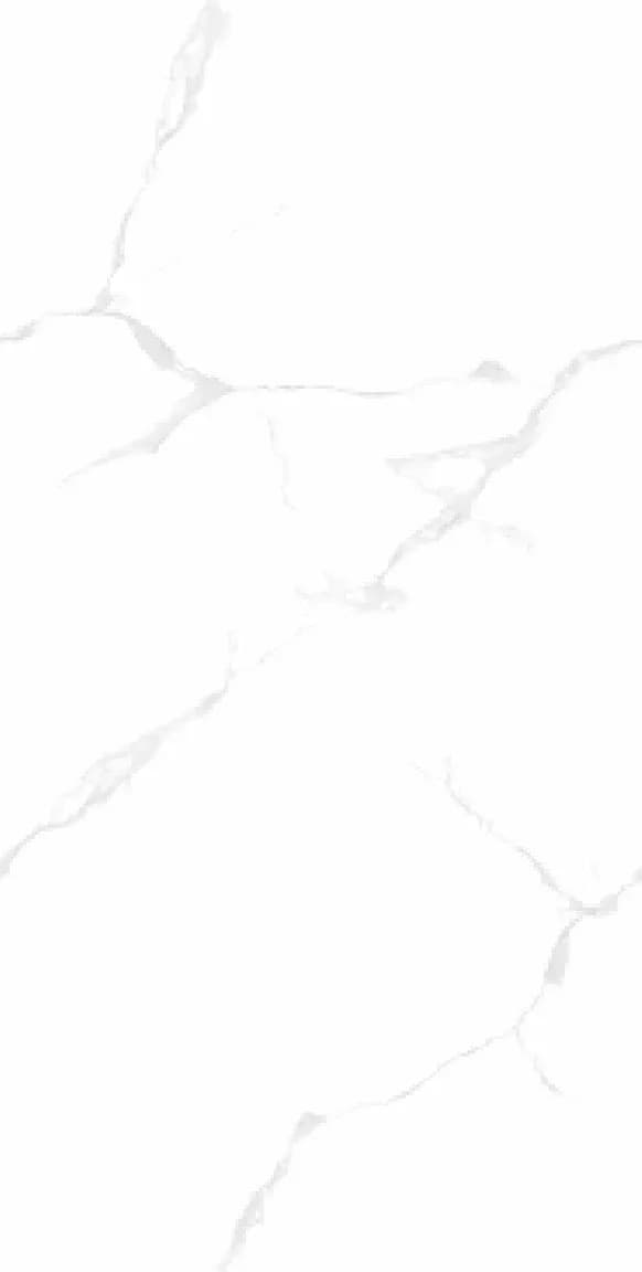 FT Rio Satvario — 600 × 1200 mm glossy glazed vitrified tile