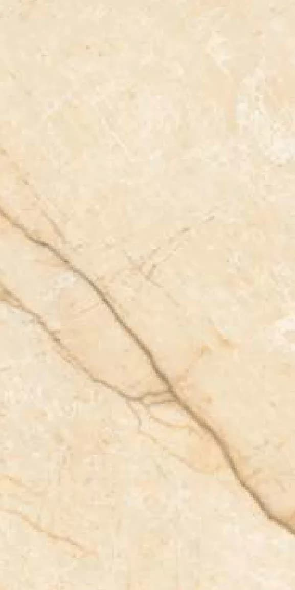 FT Corona Brown — 600 × 1200 mm glossy glazed vitrified tile