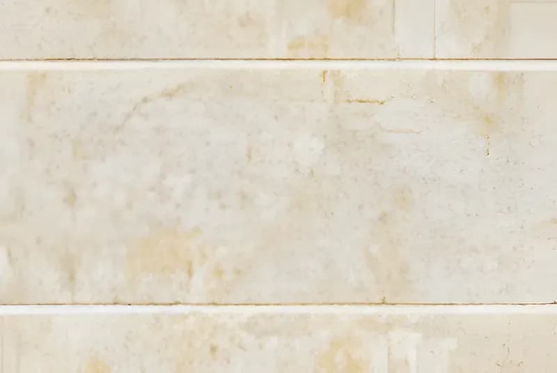 FT Floral Da — 300 × 450 mm glossy glazed ceramic wall tile
