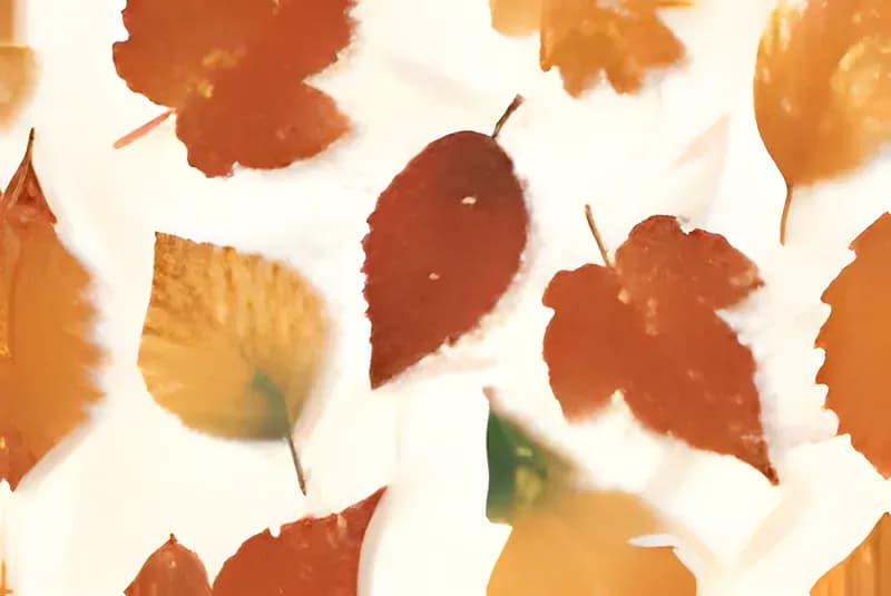 FT Damila Ha — 300 × 450 mm glossy glazed ceramic wall tile