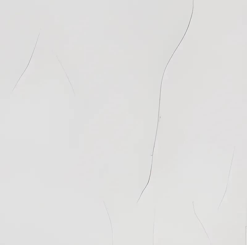 FT Tanvi — 300 × 450 mm glossy glazed ceramic wall tile
