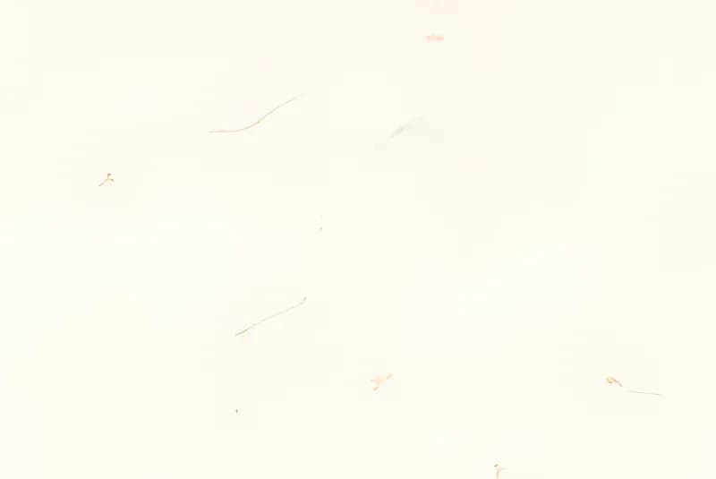 FT Kennice La — 300 × 450 mm glossy glazed ceramic wall tile