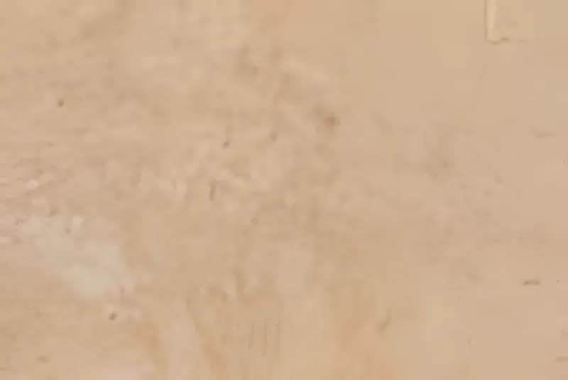 FT Frondo Da — 300 × 450 mm glossy glazed ceramic wall tile