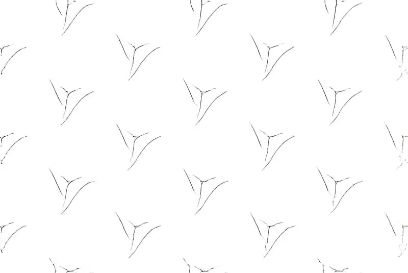 FT Vincy La — 300 × 450 mm glossy glazed ceramic wall tile