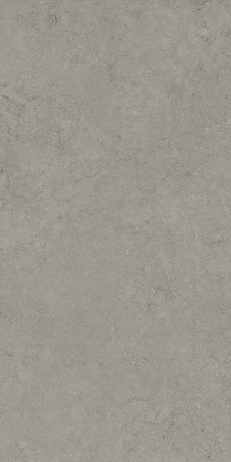 Marvel Grey — 600 × 1200 mm carving vitrified tile