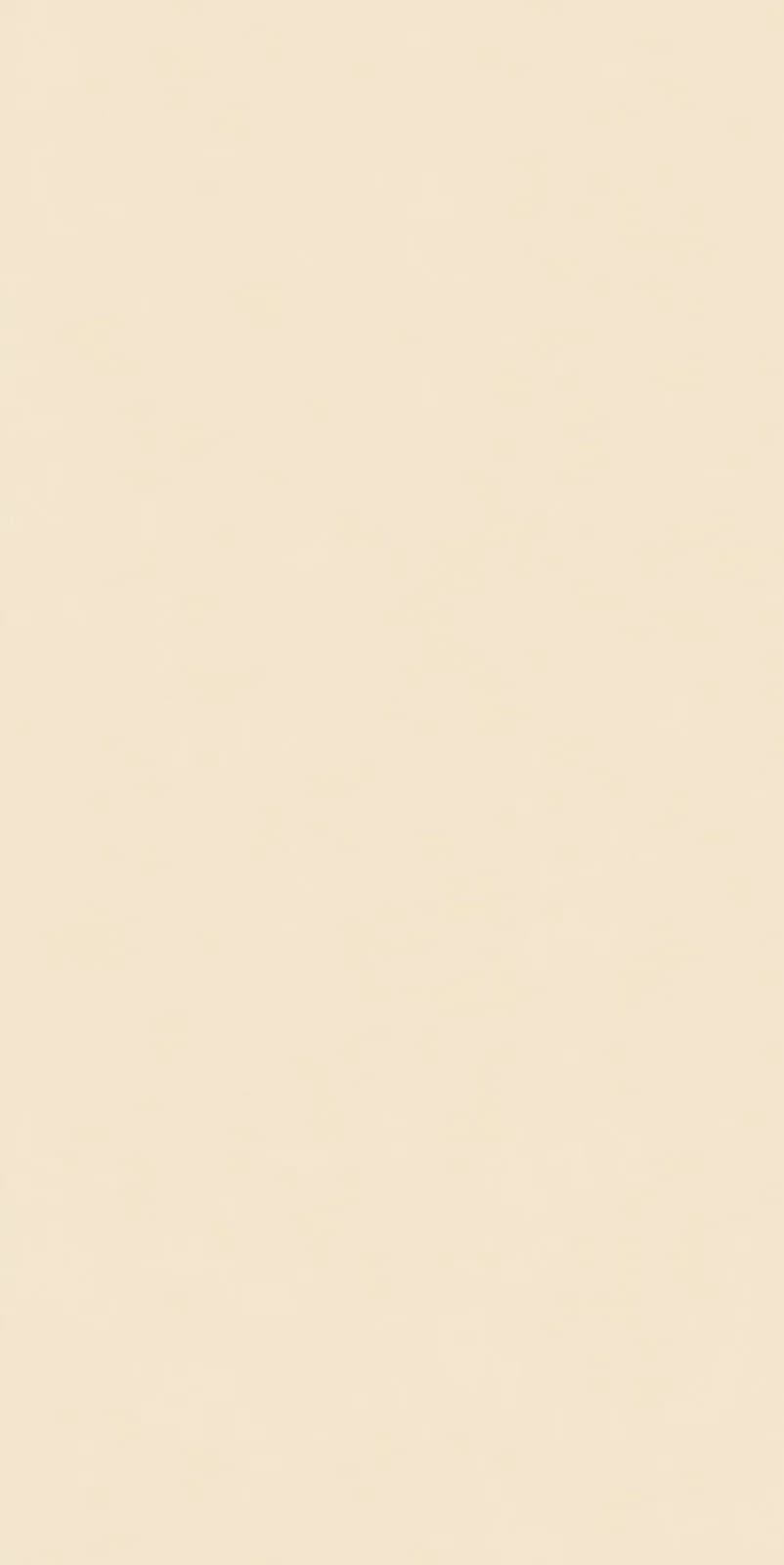 Gala Ivory — 600 × 1200 mm matte vitrified tile