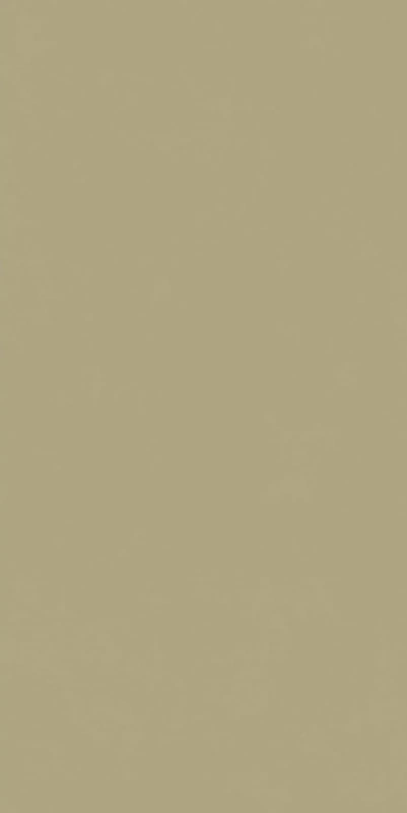 Gala Musterd — 600 × 1200 mm matte vitrified tile
