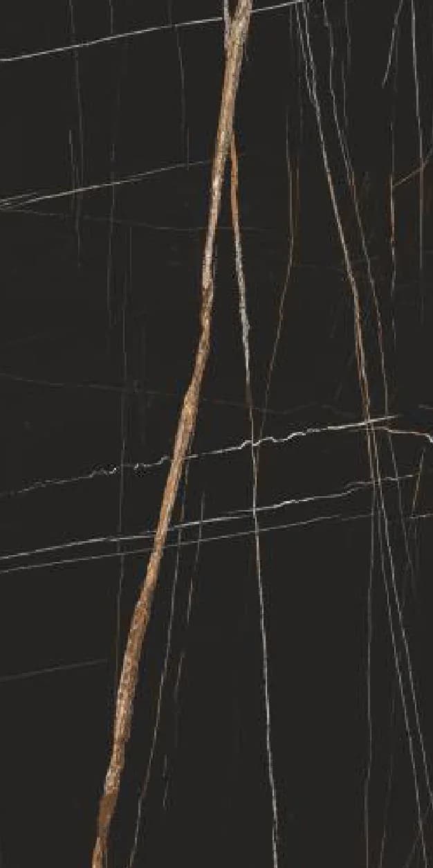 Chromite Black — 600 × 1200 mm color max glazed vitrified tile
