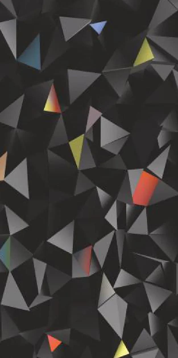 Vector Black Decor — 600 × 1200 mm color max glazed vitrified tile