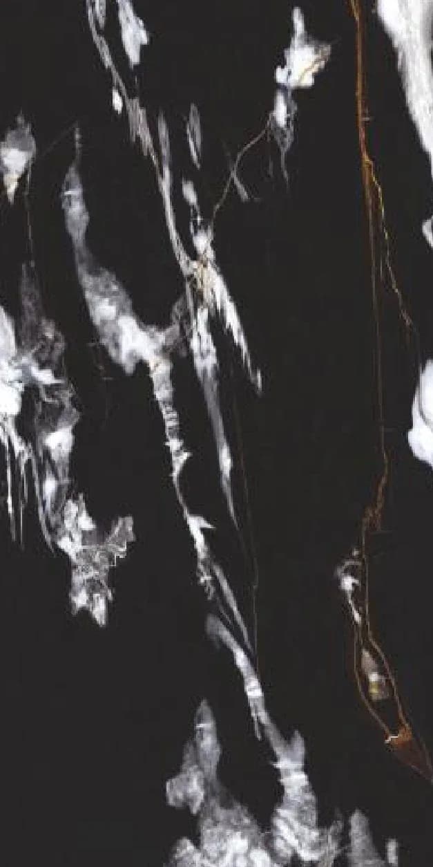 Rivera Black — 600 × 1200 mm color max glazed vitrified tile