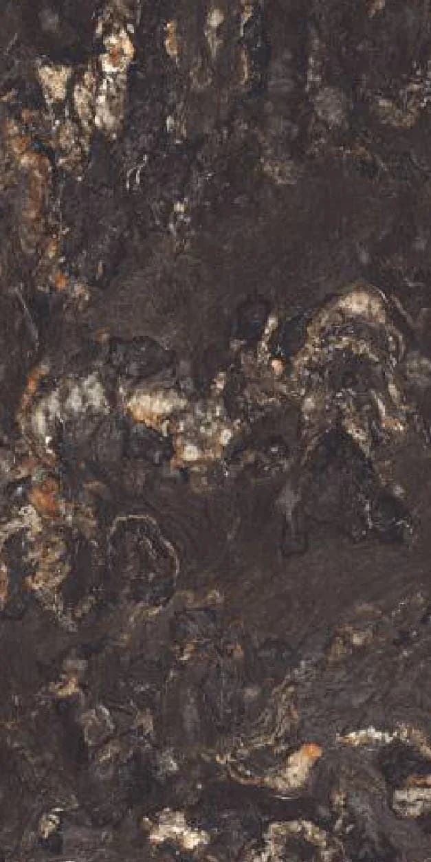 Dona Black — 600 × 1200 mm high gloss glazed vitrified tile