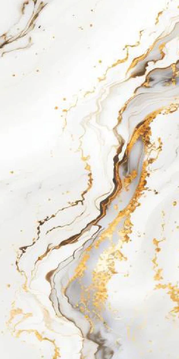 Stocker Black — 600 × 1200 mm glossy glazed vitrified tile
