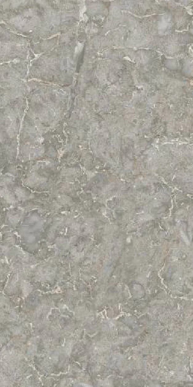Archer Grey — 600 × 1200 mm glossy glazed vitrified tile