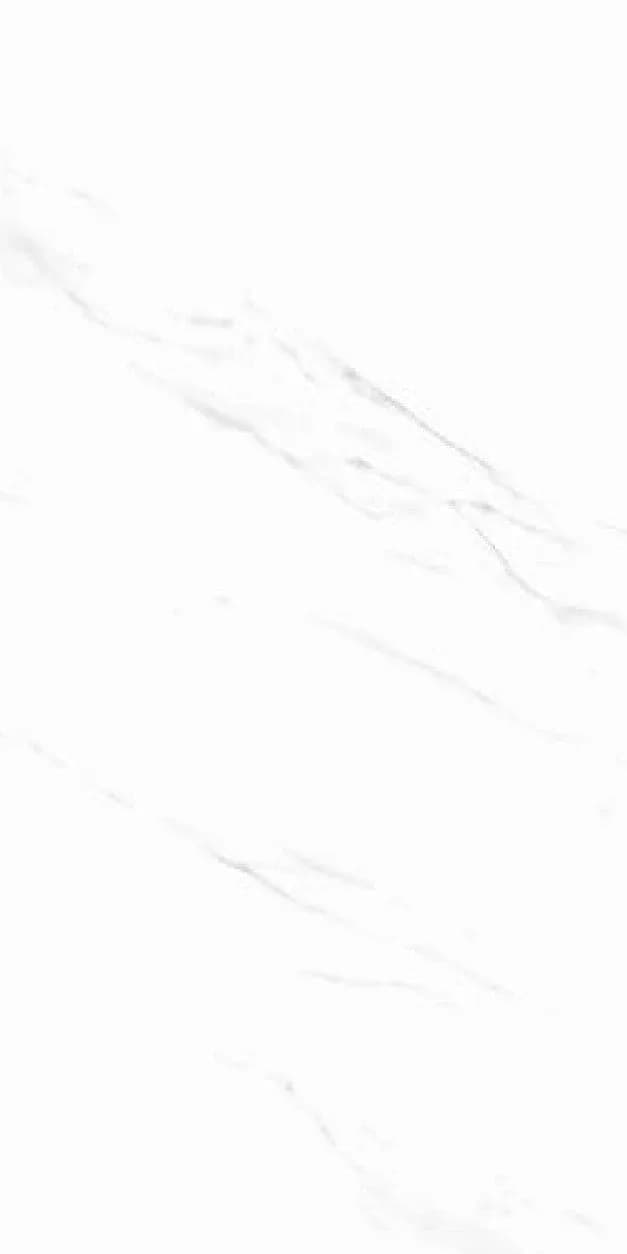 Calcutta White — 600 × 1200 mm glossy glazed vitrified tile