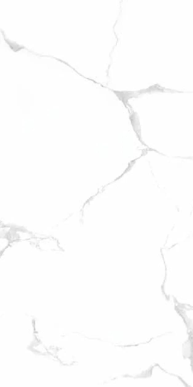 Delrose — 600 × 1200 mm glossy glazed vitrified tile