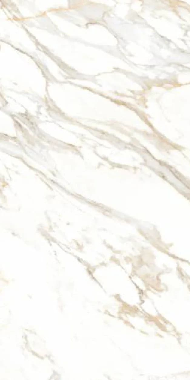 Repliq Satvario — 600 × 1200 mm glossy glazed vitrified tile