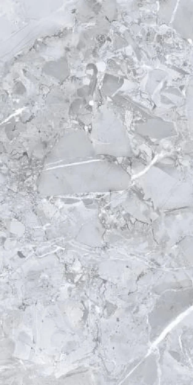 Alaska White Grey — 600 × 1200 mm glossy glazed vitrified tile