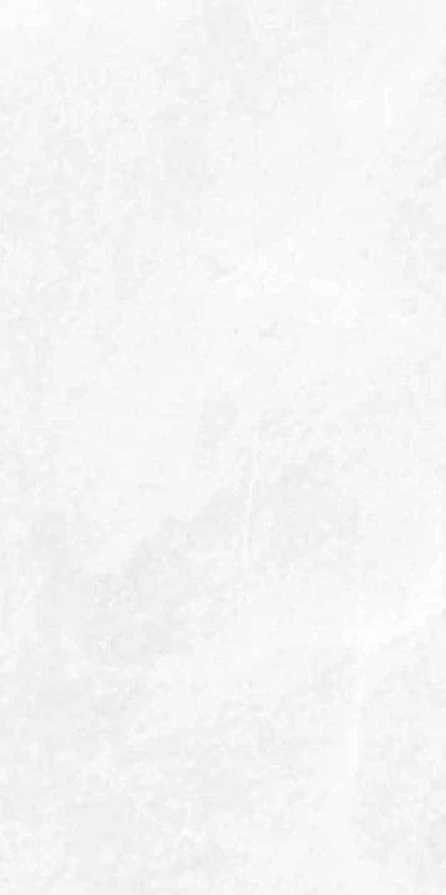 Prada Grey — 600 × 1200 mm glossy glazed vitrified tile