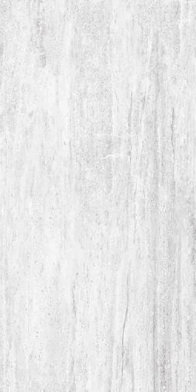 Basalt Grey — 600 × 1200 mm glossy glazed vitrified tile
