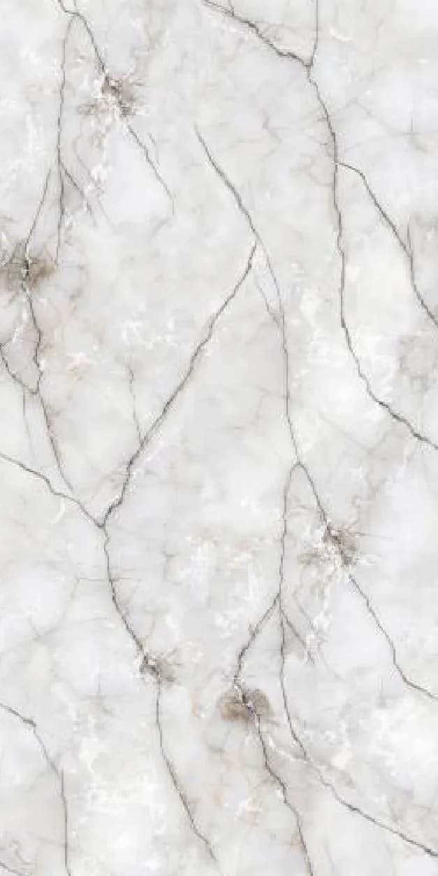 Avolon Grey — 600 × 1200 mm glossy endless glazed vitrified tile