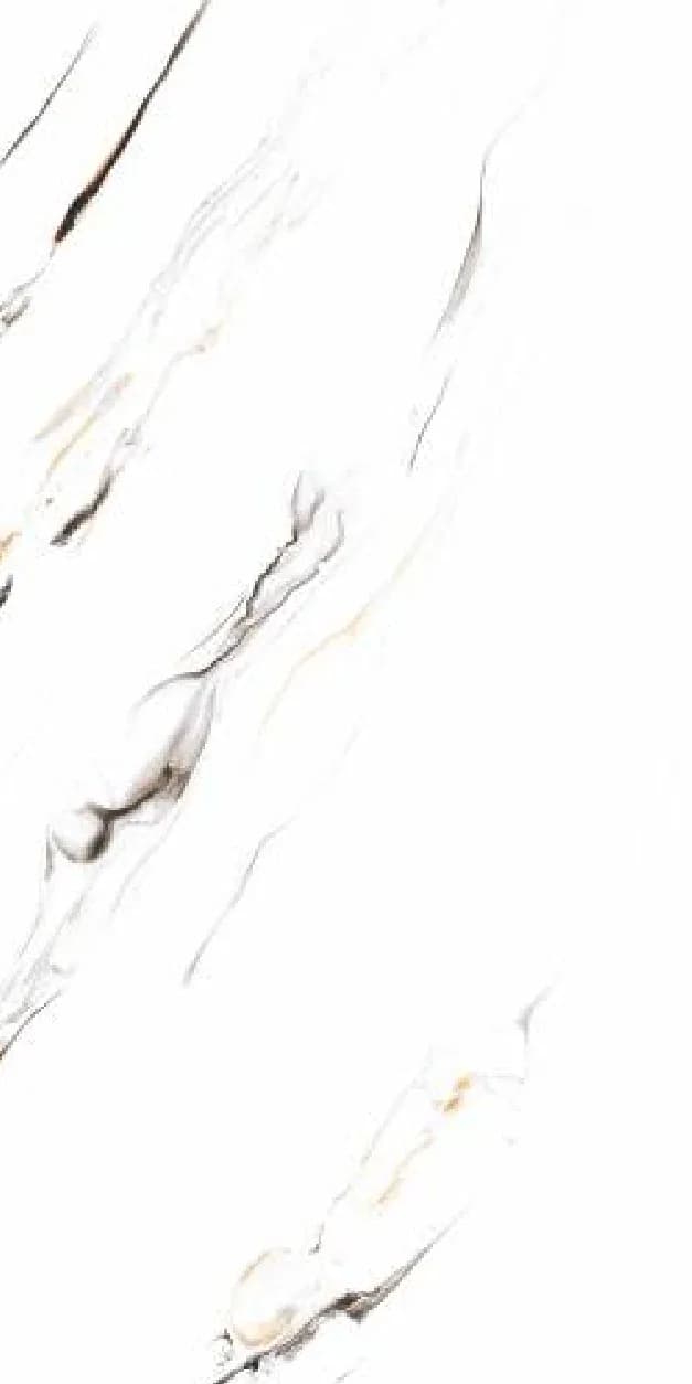 Amal White — 600 × 1200 mm carving glazed vitrified tile