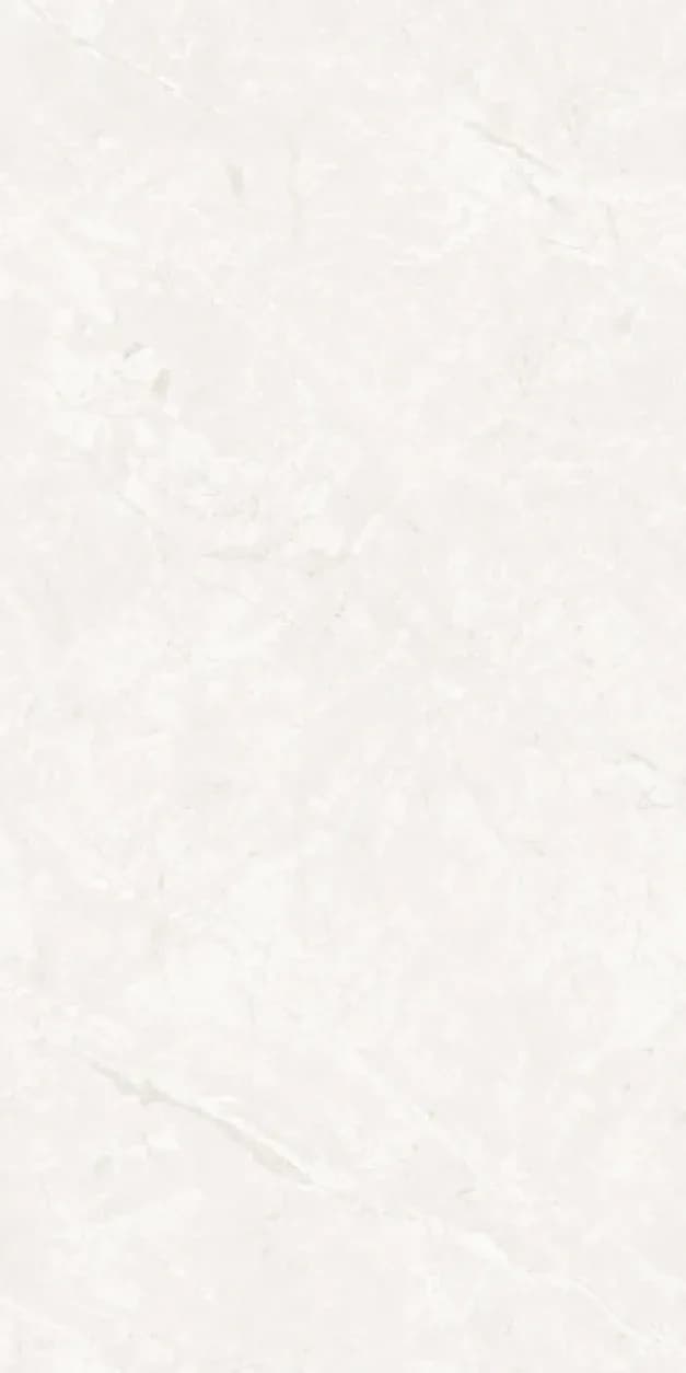 Halton Bianco — 600 × 1200 mm carving glazed vitrified tile