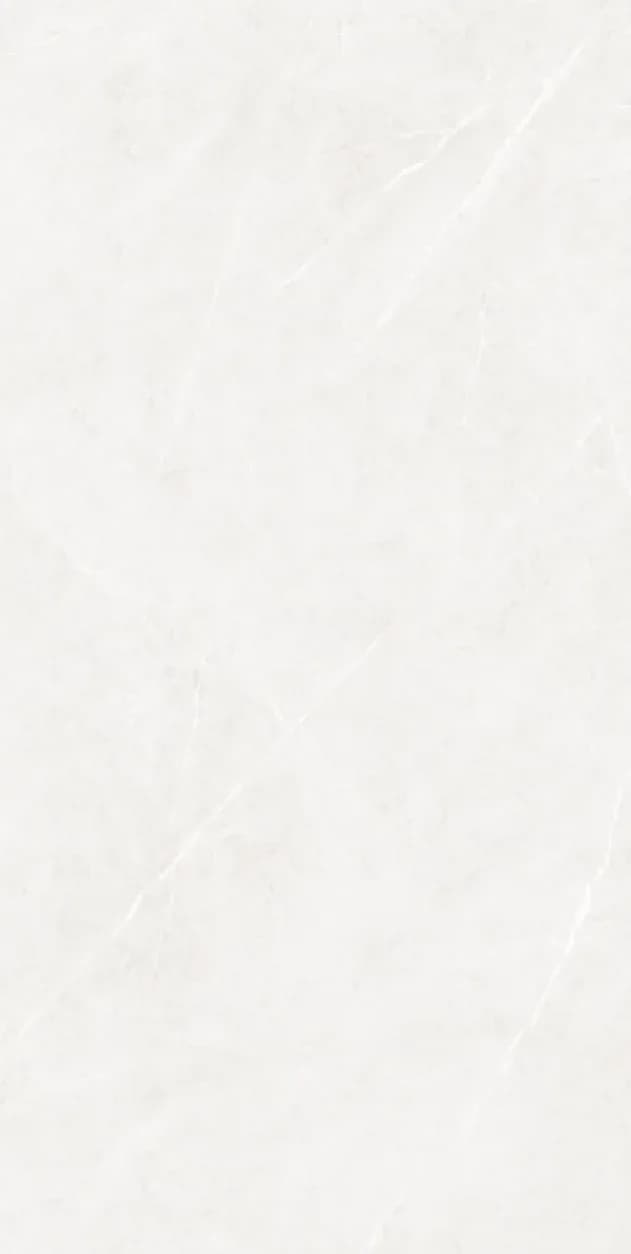 Thunder Lt Grey — 600 × 1200 mm carving glazed vitrified tile