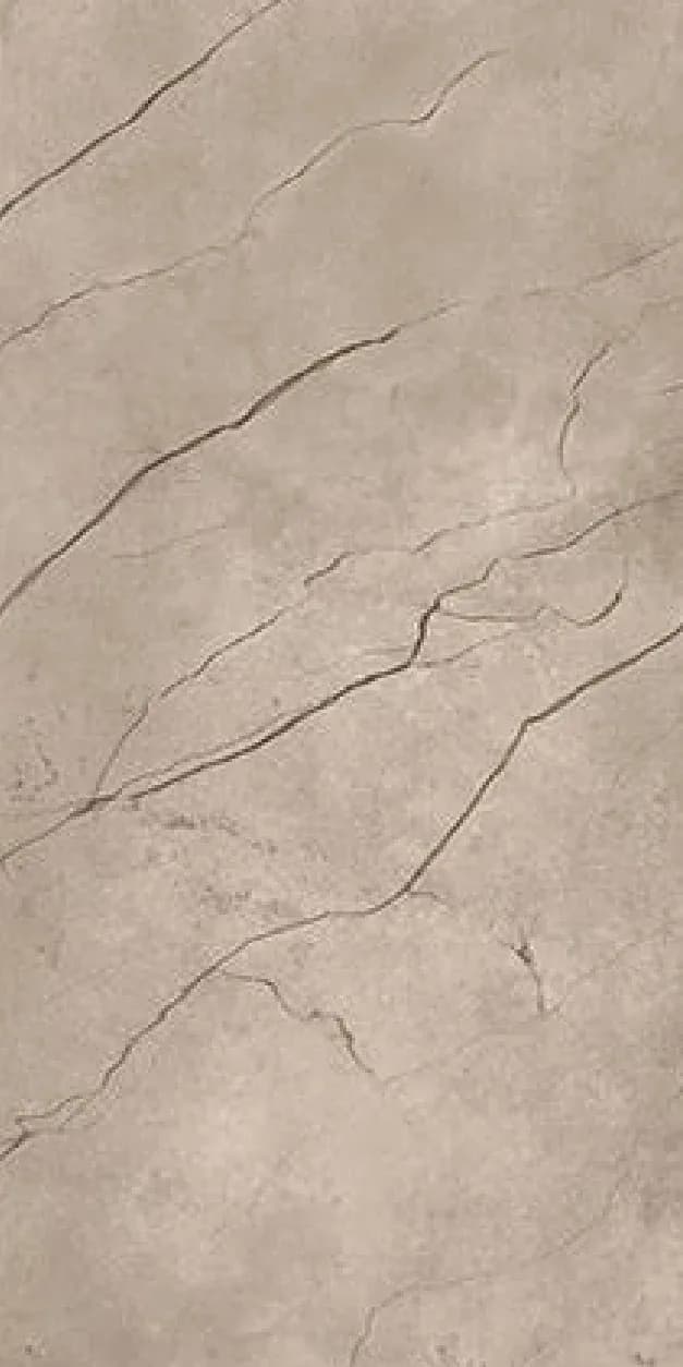 Swift Taupe — 600 × 1200 mm carving glazed vitrified tile