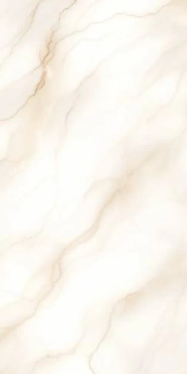 Laurent Brown — 600 × 1200 mm carving glazed vitrified tile