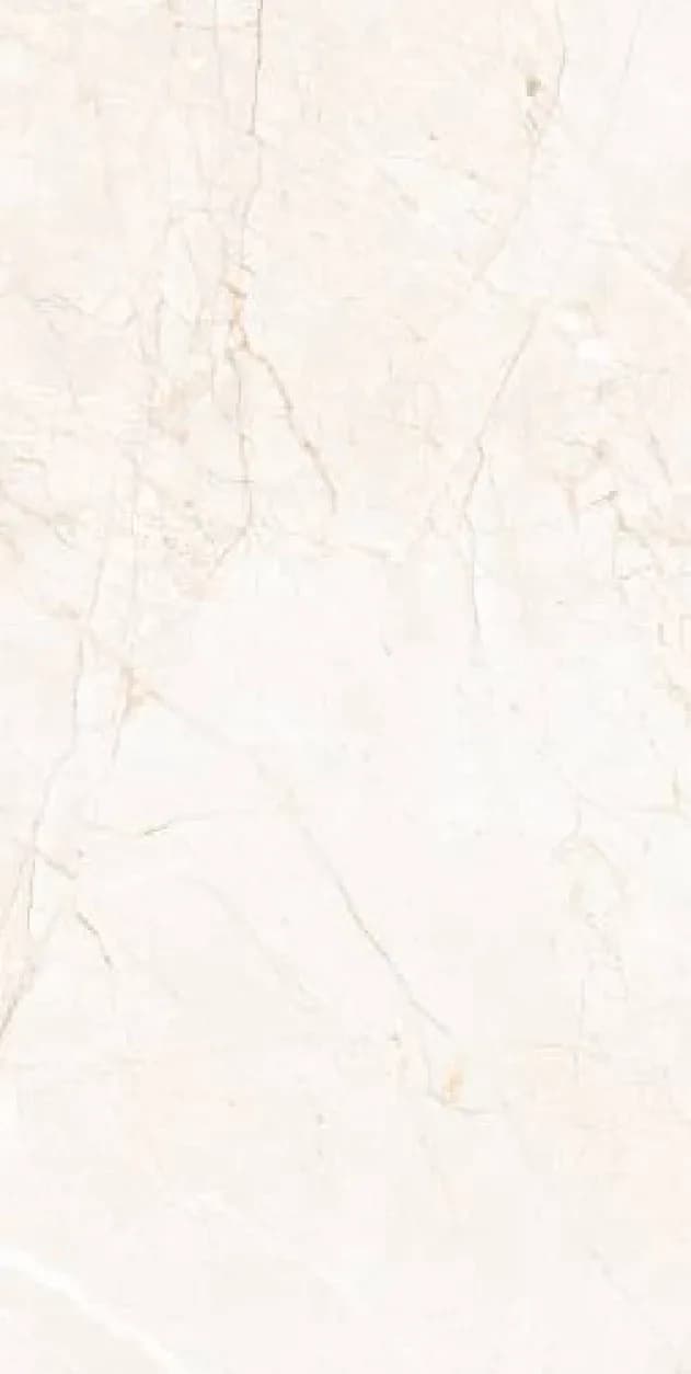 Arizona Light — 600 × 1200 mm carving glazed vitrified tile