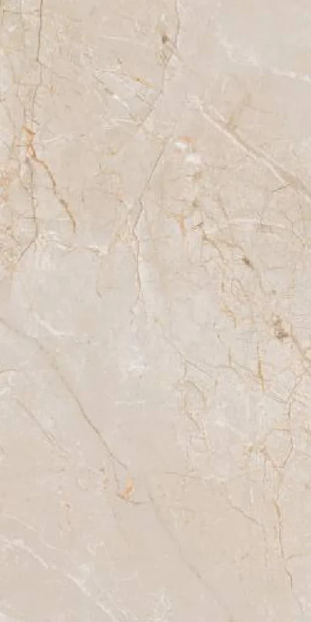 Arizona Dark — 600 × 1200 mm carving glazed vitrified tile