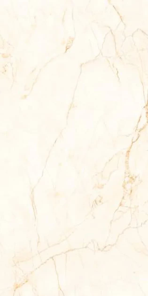 Karas Brown — 600 × 1200 mm carving glazed vitrified tile