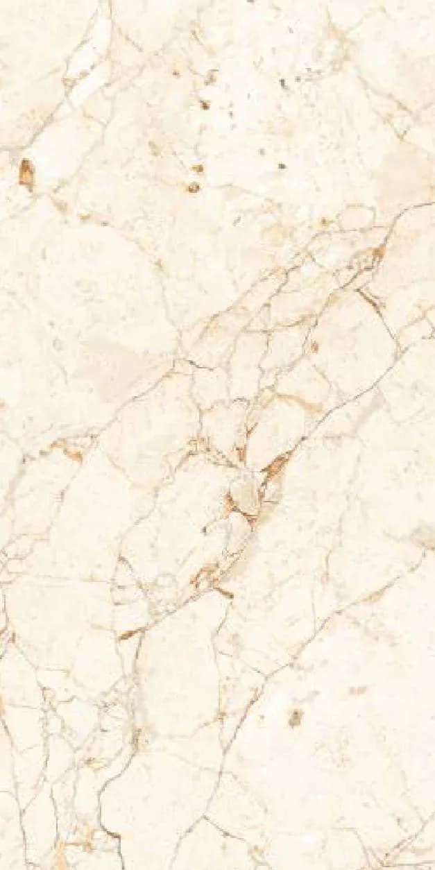 Garnet Brown — 600 × 1200 mm carving glazed vitrified tile