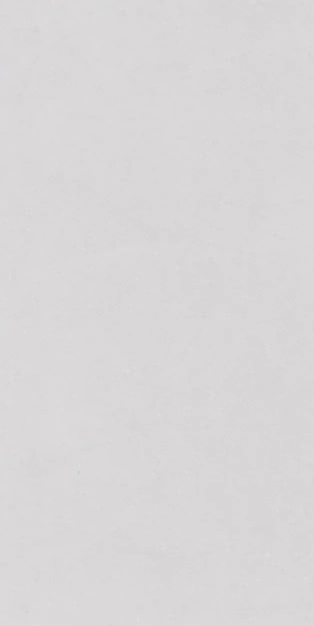 Carolin Silver — 600 × 1200 mm matte glazed vitrified tile