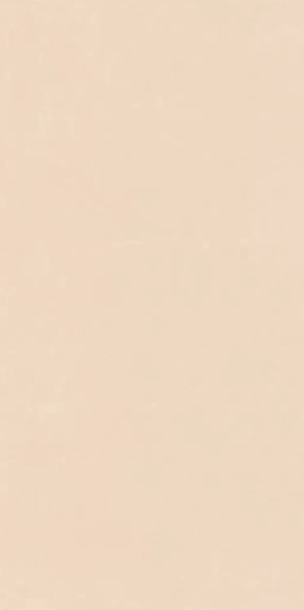 Carolin Beige — 600 × 1200 mm matte glazed vitrified tile