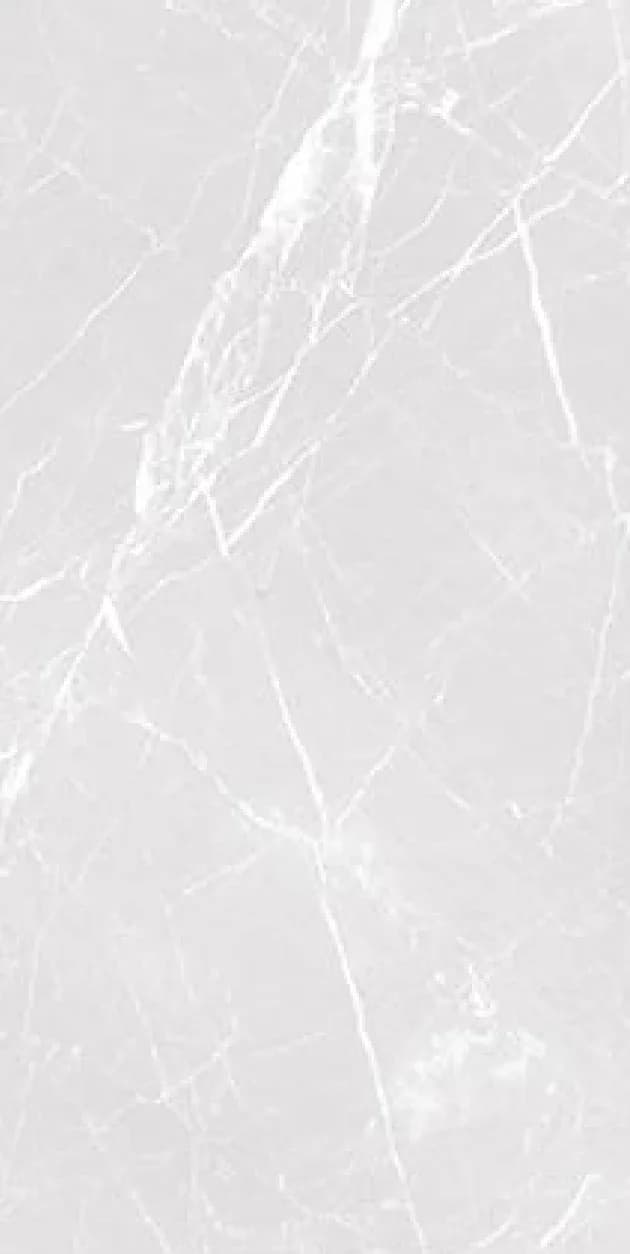 Arial Bainco — 600 × 1200 mm matte glazed vitrified tile
